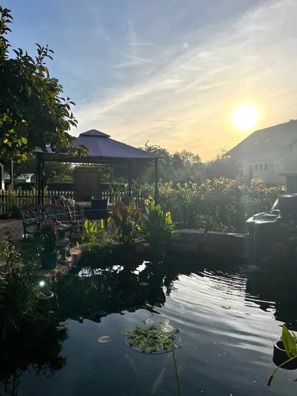 Gartenteich im Gegenlicht der tief stehenden Sonne