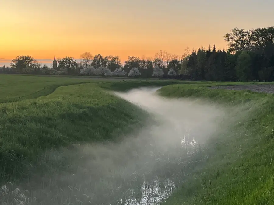 Wiese mit Nebel über einem Graben bei Sonnenuntergang