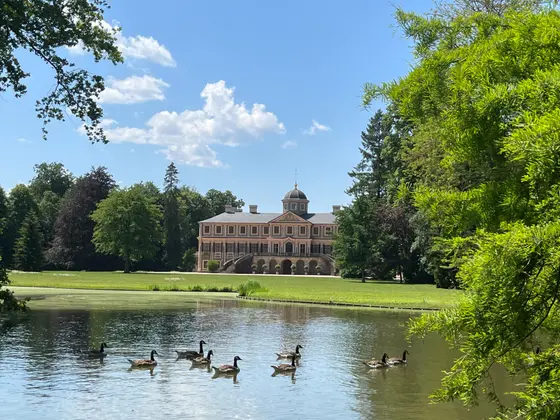 Schloss Favorite hinter einem Teich mit Gänsen