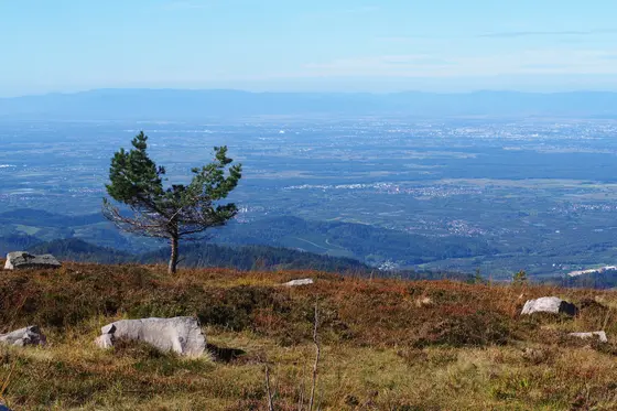 Blick von der Hornisgrinde über die Rheinebene