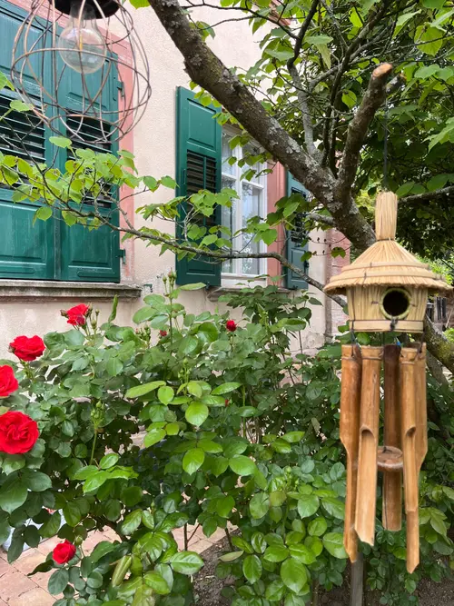 Klangspiel aus Bambus vor den grünen Fensterläden, darunter Rosen
