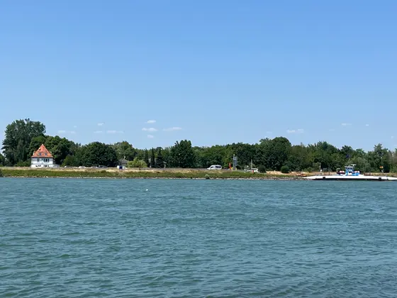 Der Rhein an einem sonnigen Tag
