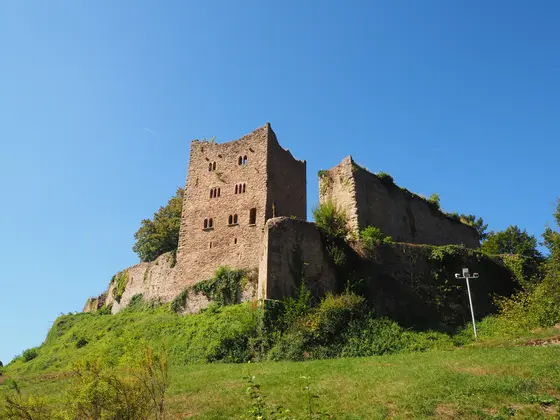 Burgruine Schauenburg auf grünem Hügel